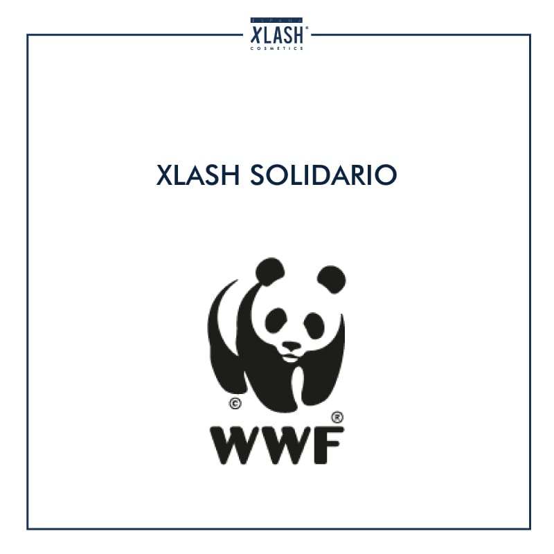 Leer Xlash España colabora para luchar contra los incendios forestales