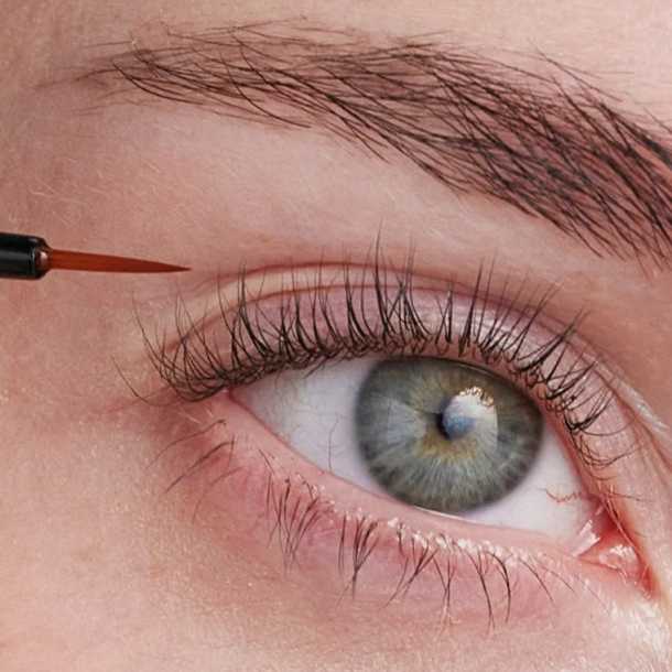 Inicio - Xlash