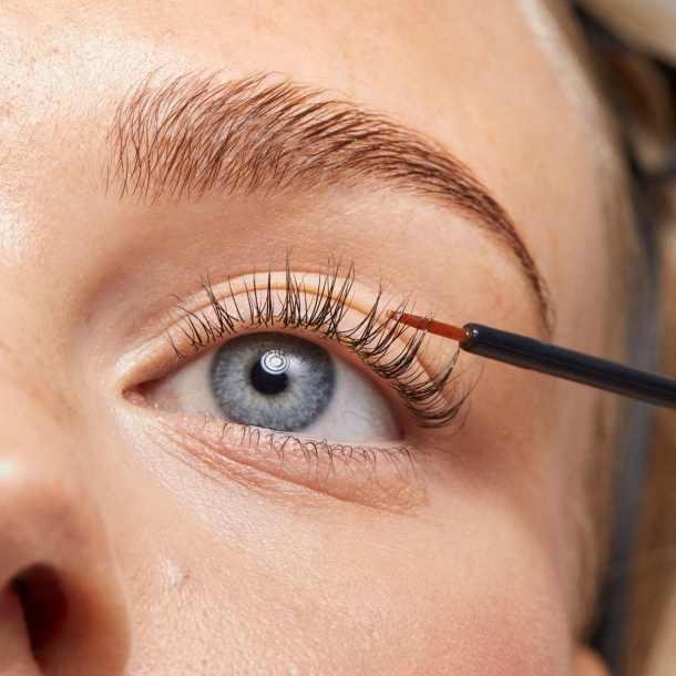 Inicio - Xlash