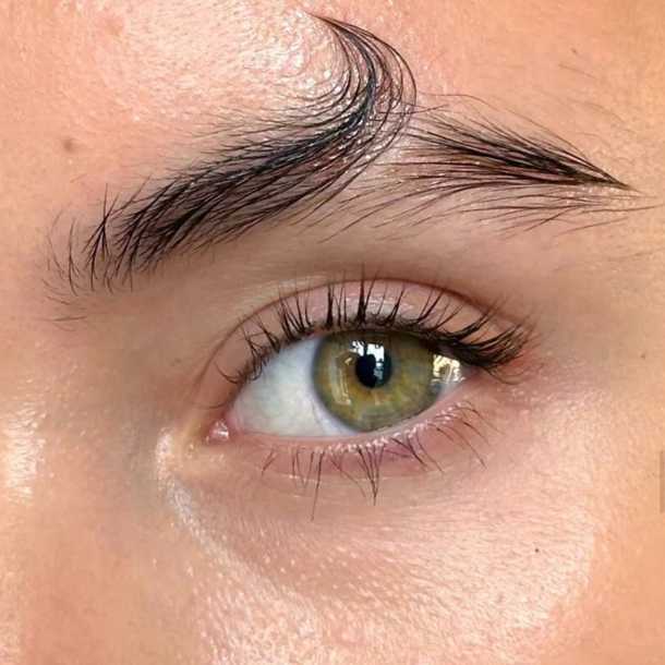 Inicio - Xlash
