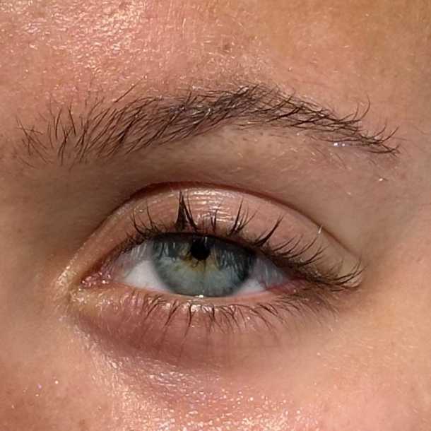 Inicio - Xlash