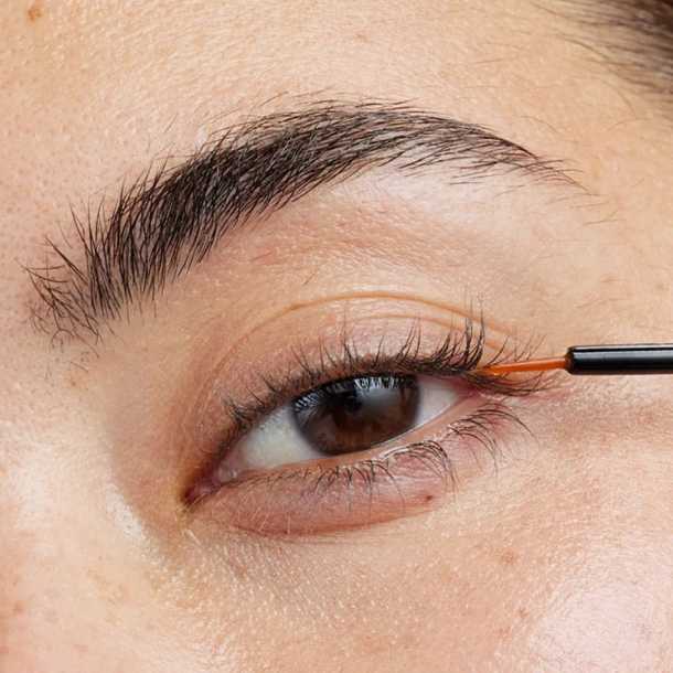 Inicio - Xlash