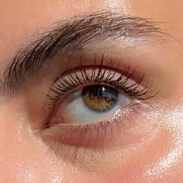 Inicio - Xlash