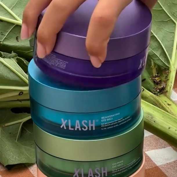Inicio - Xlash